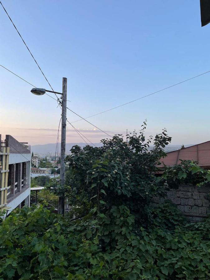 Guest House Zemeli Tbilisi Eksteriør bilde